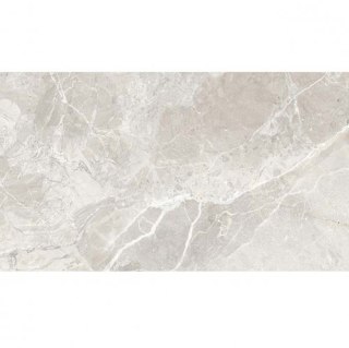 EARTHSTONE STONE 60x120 G1 EC