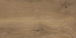 TAIGA / SIGURD WOOD BROWN 30x60 G.1 STARGRES