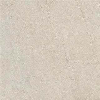 TERRA BEIGE 60X60 LAPPATO G.1 EG