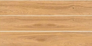 CORSON WOOD 20X120 GAT.I