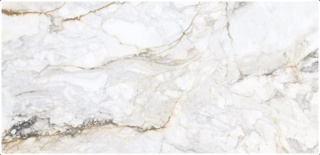 NUEVO MARBLE GOLD POLER GRES 60x120 G.1