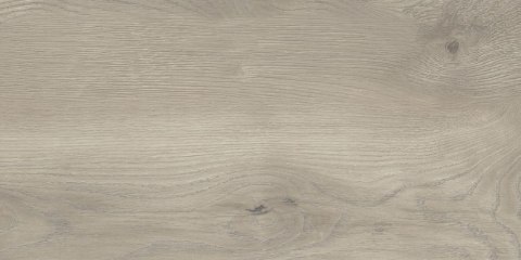 TAIGA / JUKON GREY 30x60 G.1 STARGRES