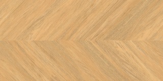 SGR381-1 / LARA Rett. 60x120 g.1