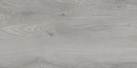 TAIGA GREY SGR259-2 30X60 GAT.2