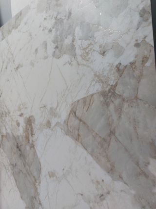 PATAGONIA GOLD CARVING 60X120 G.1 NUEVO
